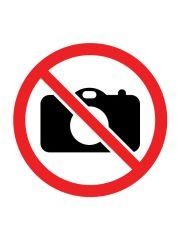 PUZZLE 3W1 POZNAJ TREFLIKI TREFL, TREFL