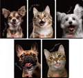 Zeszyt-w-linie-A5-Herlitz-60-kartek-CRAZY-ANIMAL-1-szt-Liczba-kartek-60-szt.jpg