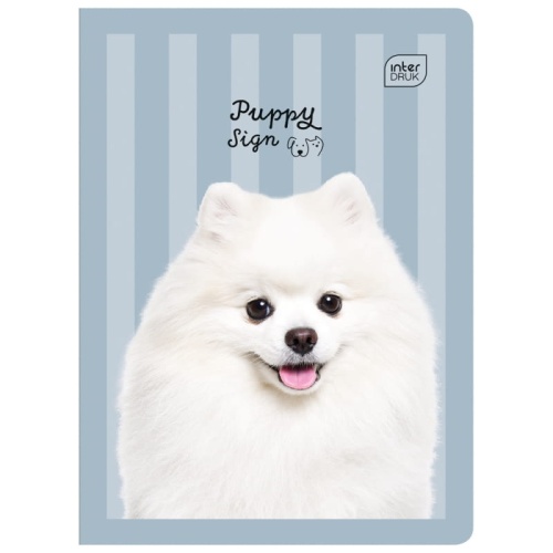 4-x-zeszyt-a5-16-kartek-trzylinia-w-trzy-linie-interdruk-kotki-pieski (4).jpg