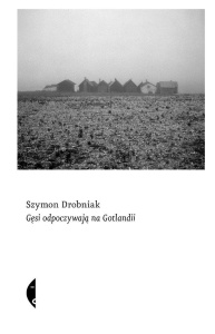 GĘSI ODPOCZYWAJĄ NA GOTLANDII, SZYMON DROBNIAK