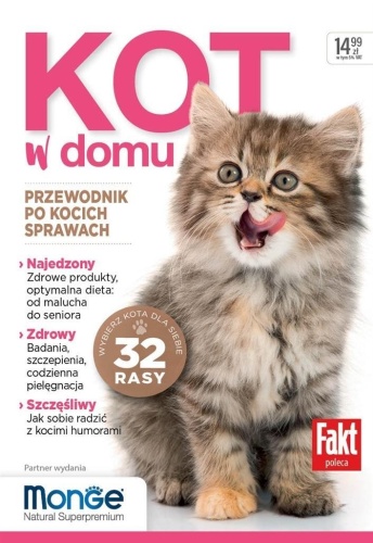 Kot w domu, praca zbiorowa