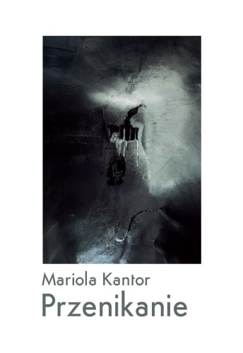 Przenikanie, Mariola Kantor