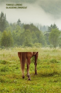 GŁADZENIE ZWIERZĄT, TOMASZ LORENC