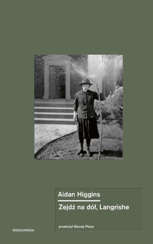 Zejdź na dół, Langrishe, Aidan Higgins