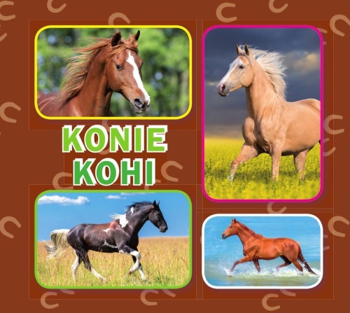 Konie, praca zbiorowa