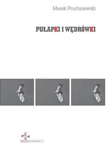Pułapki i wędrówki, Marek Pruchniewski