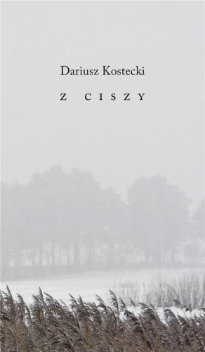 Z ciszy, Dariusz Kostecki