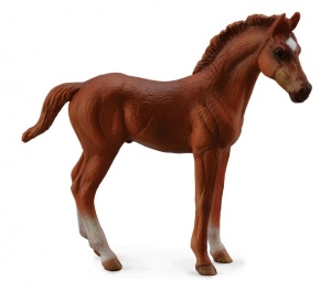 ŹREBIĘ THOROUGHBRED FOAL STANDING CHESNUT