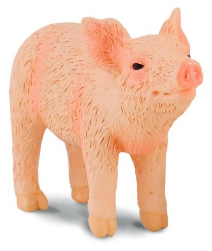 Prosie pachnące, Collecta