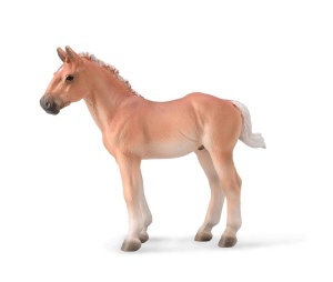 NORIKER KASZTANOWA KLACZ, COLLECTA