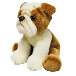 PIES BULL DOG 30CM, ANEK