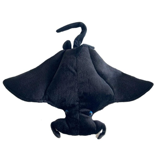 Manta 54cm, Beppe