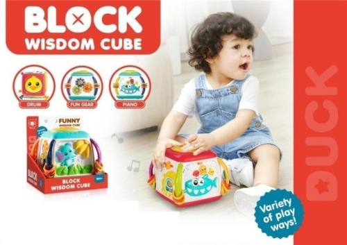 Kostka edukacyjna, Merkpol