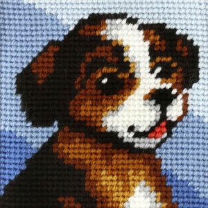 HAFT. MOJE PIERWSZE WYSZYWANIE - PIESEK, ANEX-BIS