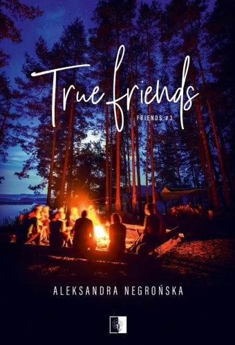 Friends T.3 True Friends pocket