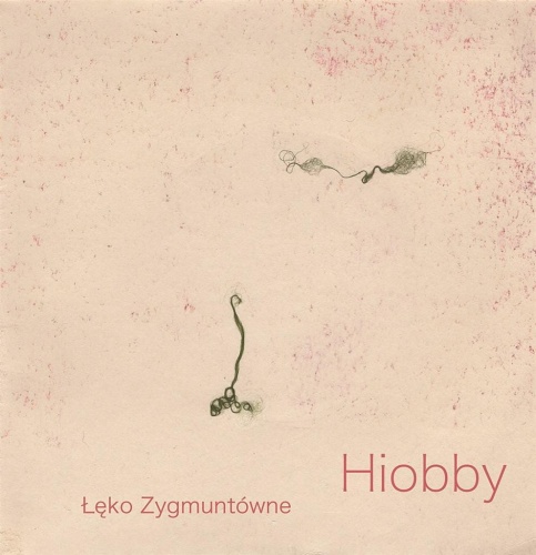 Hiobby, Łęko Zygmuntówne