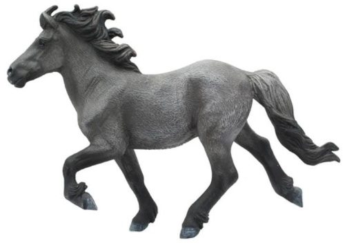 Koń Blue Dun Icelandis Staillion, Collecta