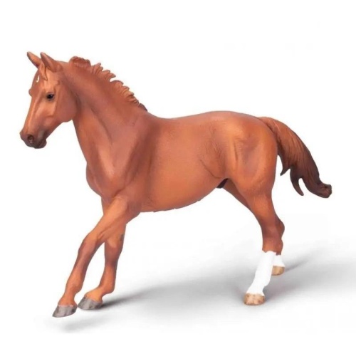 Ogier Phar Lap maści kasztanowej, Collecta