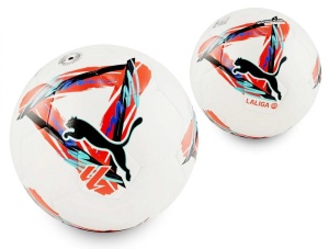 PIŁKA NOŻNA PUMA, ARTYK