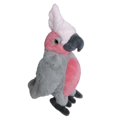 Kakadu różowe 22cm, Beppe