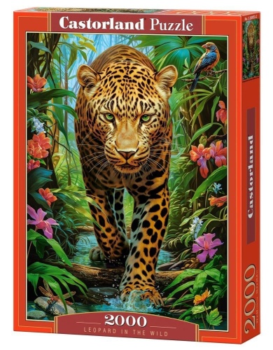 Puzzle 2000 Leopard in the Wild CASTOR, Castorland