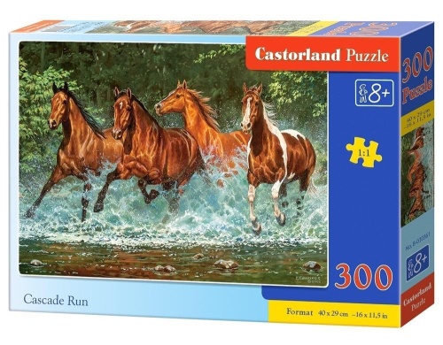 Puzzle 300 Cascade Run CASTOR, Castorland