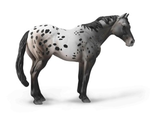NIEBIESKI DERESZ APPALOOSA, COLLECTA