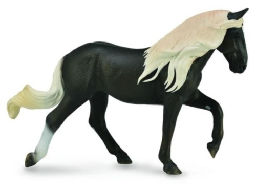 Klacz rasy Rocky Mountain, Collecta