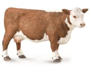 KROWA HERFORD, COLLECTA