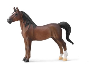 AMERICAN SADDLEBRED STALLION LIVER KASZTANOWY