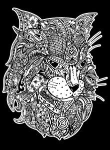 KOLOROWANKA WELWETOWA 47X35 KOT FANTAZJA, STEPP