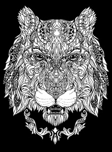 KOLOROWANKA WELWETOWA 47X35 LWICA, STEPP