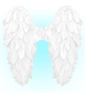 BIAŁE SKRZYDŁA NATURALNE PIÓRA, WIDMANN