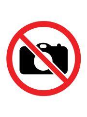 TARCZA Z PIŁECZKAMI ŚWIECĄCYMI X4 NA RZEPY, MADEJ