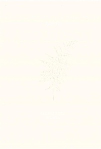 KALCYT, ALEKSANDRA BYRSKA