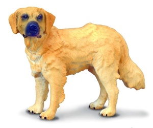 PIES GOLDEN RETRIEVER, COLLECTA