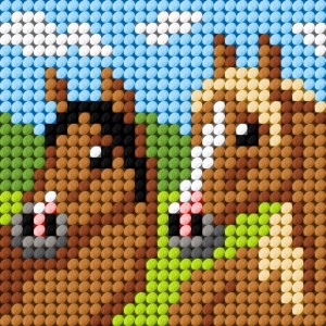 HAFT. MOJE PIERWSZE WYSZYWANIE - KONIE, ANEX-BIS