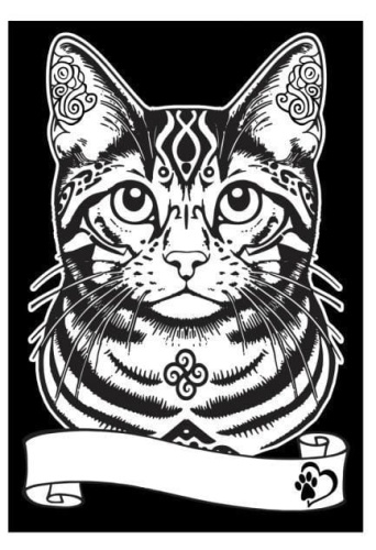 Kolorowanka welwetowa A4 Kot europejski
