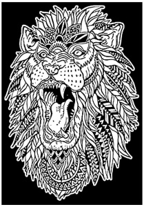 KOLOROWANKA WELWETOWA 29,7X21 RYK LWA, STEPP