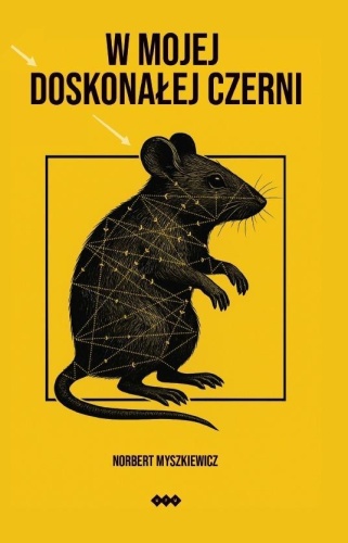 W mojej doskonałej czerni, Norbert Myszkiewicz