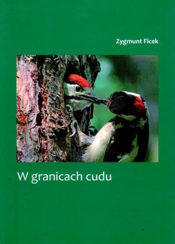 W granicach cudu, Zygmunt Ficek
