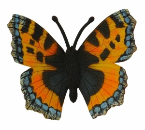 MOTYL RUSAŁKA POKRZYWNIK, COLLECTA