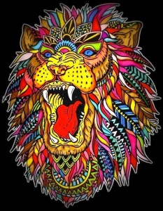 KOLOROWANKA WELWETOWA 47X35 RYK LWA, STEPP