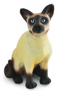 KOT SYJAMSKI SIEDZĄCY, COLLECTA
