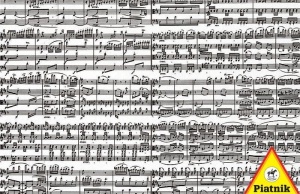 PUZZLE 1000 - NUTY PIATNIK, PIATNIK