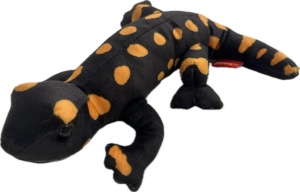SALAMANDRA PLAMISTA 20CM, BEPPE