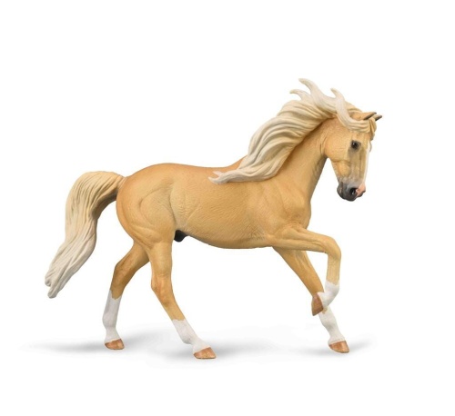 Ogier andaluzyjski maści Palomino, Collecta