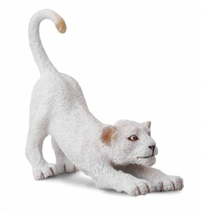 LWICA BIAŁA, COLLECTA