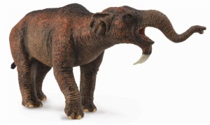 DEINOTHERIUM, COLLECTA