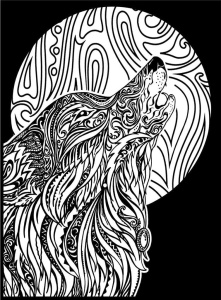 KOLOROWANKA WELWETOWA 47X35 WYCIE WILKA, STEPP